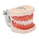 thumbnail image 5 of Cinta para el cabello negra Jadeshay varilla para rizar sin calor 28 piezas modelo dental, 5 of 8