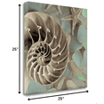 thumbnail image 2 of 14" Snailshell and Seaglass 2 Giclee Wrap Canvas Wall Art, 2 of 3