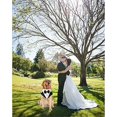 thumbnail image 4 of Corbata formal de esmoquin para perros (m-negro), corbata de boda para perros, collar ajustable para perros con pajarita, corbata para perros de tamaño pequeño a mediano, 4 of 5