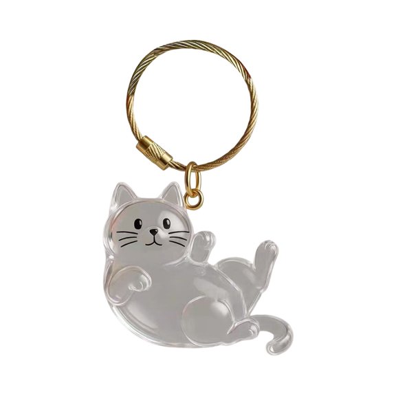 Pet Hair Keepsake Box Keychain Cats Pelt Memorial Pendant Small Box for Pet Pelt Remembrance Locket Keyring for Dogs Cats Pet Memorial Jewelry for Pet Lovers