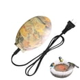thumbnail image 1 of Plastic Bird Bath Water Heater with Intelligent Temperature Control for US Market, 1 of 8