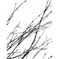 thumbnail image 3 of Burkhart, Monika 19x24 Black Modern Framed Museum Art Print Titled - Dancing Branches IV, 3 of 5