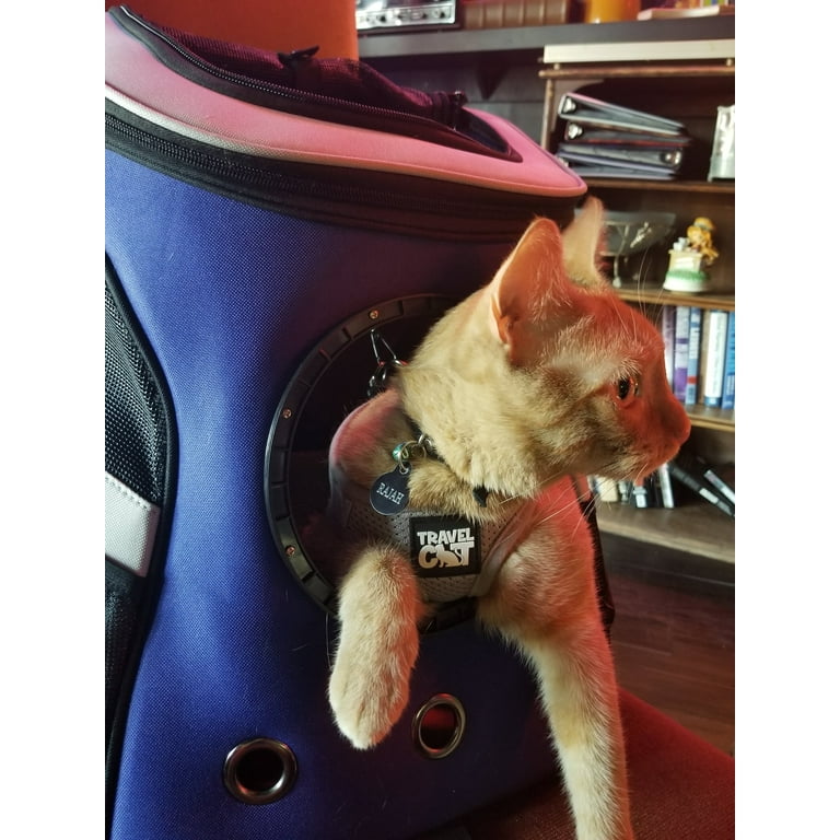 Travel cat best sale harness and leash
