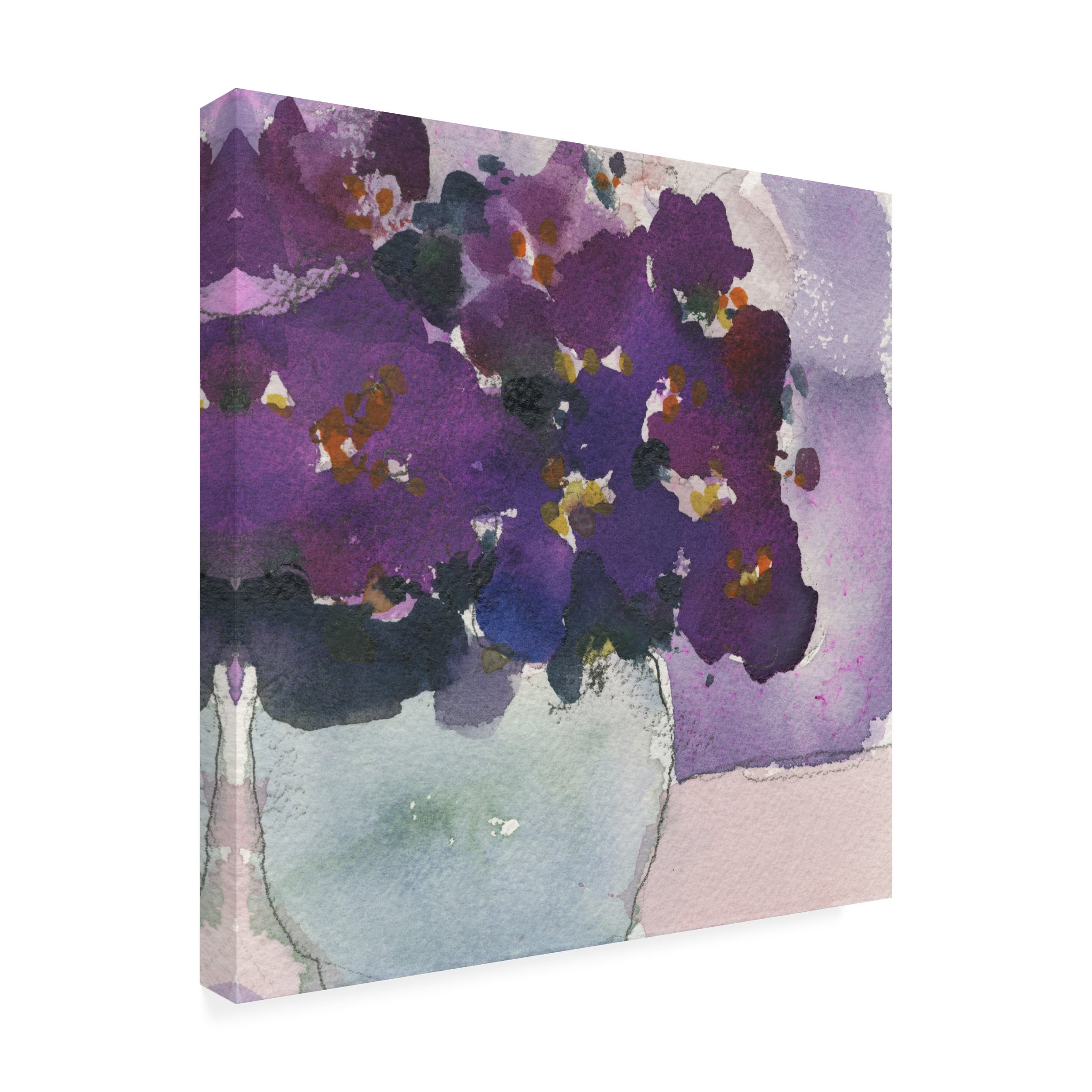Samuel Dixon 'African Violet II' Canvas Art