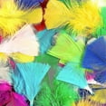 thumbnail image 2 of Colorful Feathers,300pcs Feather For Crafts Striking Feathers, 2 of 5