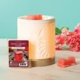 thumbnail image 4 of (5 pack) Sweet Berry Cider Scented Wax Melts, Scentsationals, 2.5 oz, 4 of 9