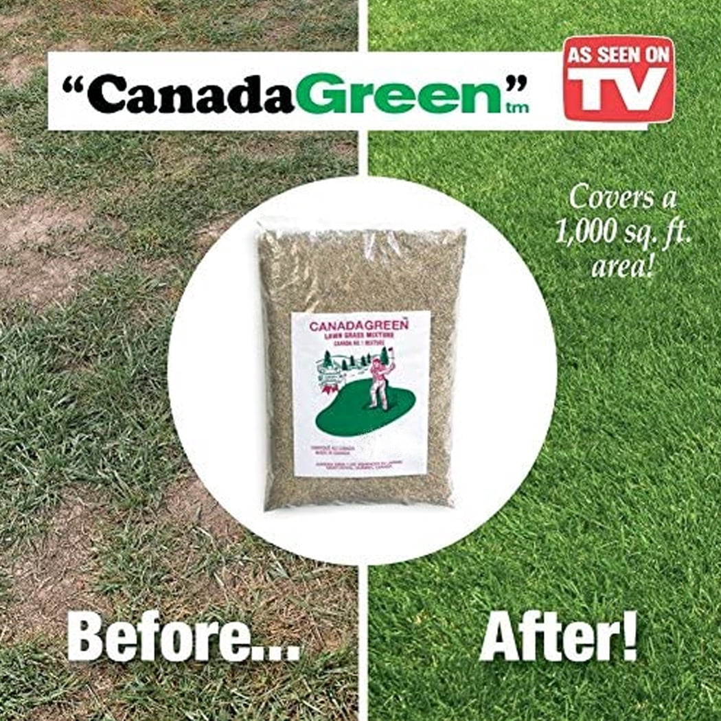 Canada Green Premium Grass Seed-4 Pound Bag