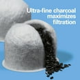 thumbnail image 5 of Hamilton Beach Replacement Charcoal Water Filters, Fits Most Hamilton Beach Coffee Makers, 2 Pack, 5 of 8