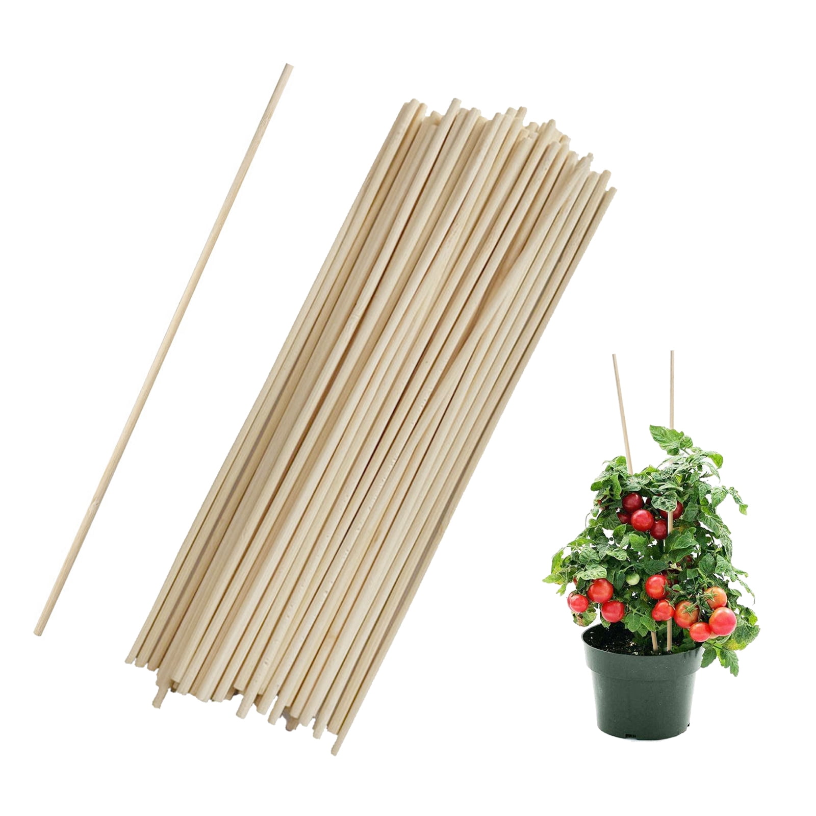 huntermoon Miniascape Branch Vine Plant Growth Support Sticks Gardening