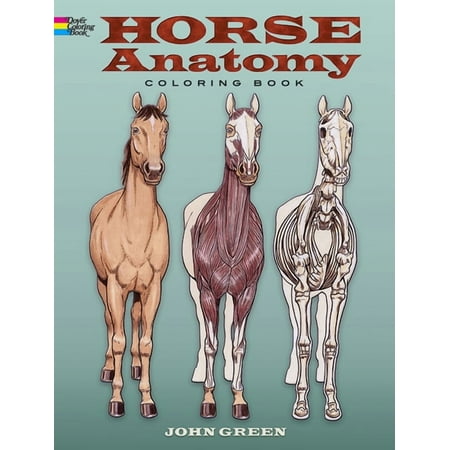 Horse Anatomy (Dover Pictorial Archive)