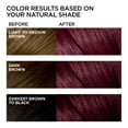 thumbnail image 4 of L'Oreal Paris Feria Permanent Hair Color, V48 Violet Vixen, 1 Kit, Up to 40 Percent Stronger Hair, 4 of 8