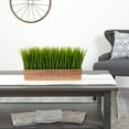 thumbnail image 4 of Nearly Natural 20in. Vanilla Grass Artificial Plant in Decorative Planter, 4 of 4