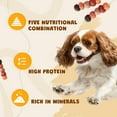 thumbnail image 5 of ASMPET Kabobs for Dog, Chicken Duck Rabbit Beef and Salmon Dog Treats for Small Medium Large Breed, 10.6oz, 5 of 9