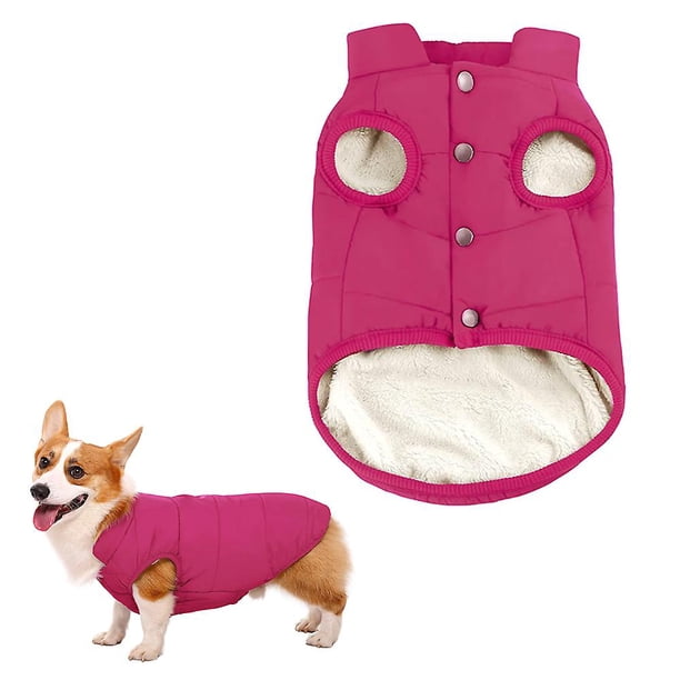 m Ropa para gatos de otoño e invierno, abrigo cálido y grueso para mascotas, chaleco Xs