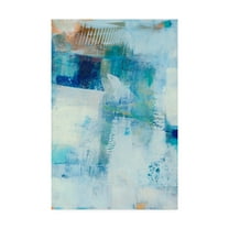 Trademark Fine Art 'Kenning III' Canvas Art by Sue Jachimiec