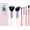 Travel Set with case 6pcs, variant on Concealer Brush with Cover - Small Foundation Brush for Application, Angled Makeup Brush with Soft Synthetic Bristles for Under Eye, , Highlight & Nose Contouring