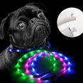thumbnail image 5 of Collar de perro LED CHEPIHG Lámpara de seguridad TPU rojo 35 cm, 5 of 5