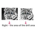 thumbnail image 4 of enqiretly Colorful Animal Diamond Painting Kits Rhinestone Wall Decoration Embroidery Cross Stitch Arts Craft, 4 of 7