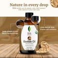 thumbnail image 2 of SVA Baobab Seed Oil Organic - 4 Fl Oz – 100% Natural Cold Pressed Organic Baobab Oil - for Face, Skin Care, Hair Care, Scalp Massage & Body Massage – Carrier Oil with Dropper, 2 of 8