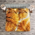 thumbnail image 3 of Ambesonne Tree Quilted Bedspread Set 3 Pcs, Autumn Sunbeams Forest, Queen Size, Orange Yellow Dark Brown, 3 of 3