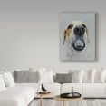 thumbnail image 3 of Trademark Fine Art 'Titleist 2' Canvas Art by James Ruby, 3 of 3