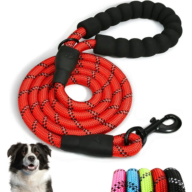 are slip leads safe for dogs