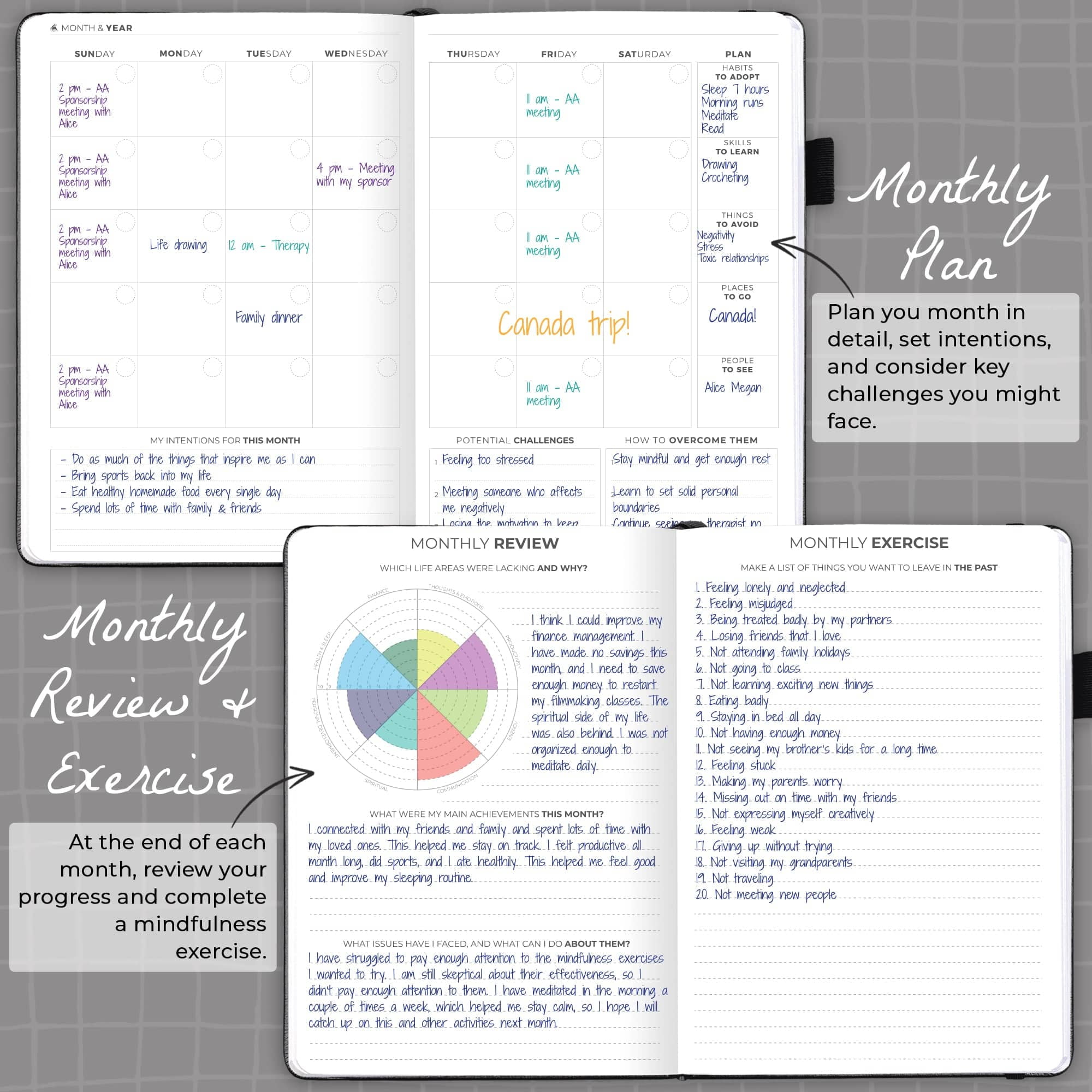 Clever Fox Addiction Recovery Journal