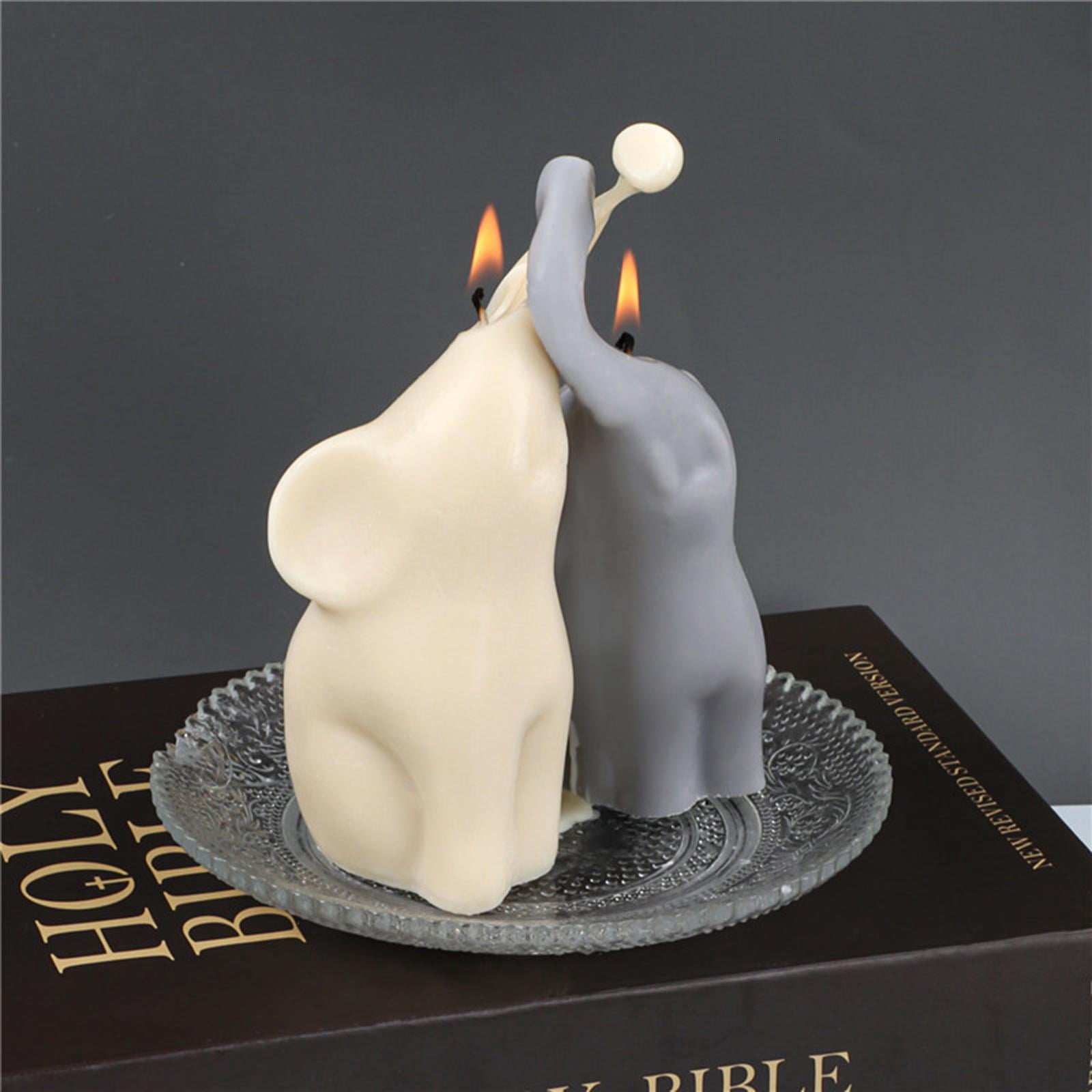 Osdhezcn 2Pcs Elephant Silicone Mold Gypsum Epoxy Resin Aroma Candle Mould for Home Decor