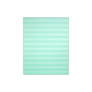 AMC Poster Board 22x28 Stripes Mint