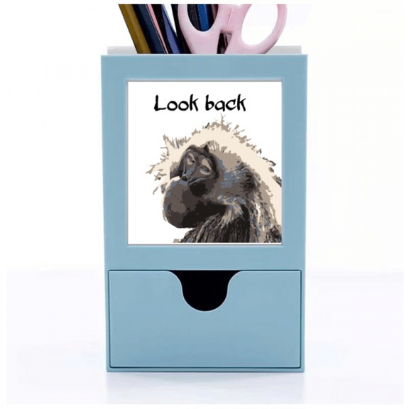 Primate Baboon Papio Desk Supplies Organizer Pen Holder Card