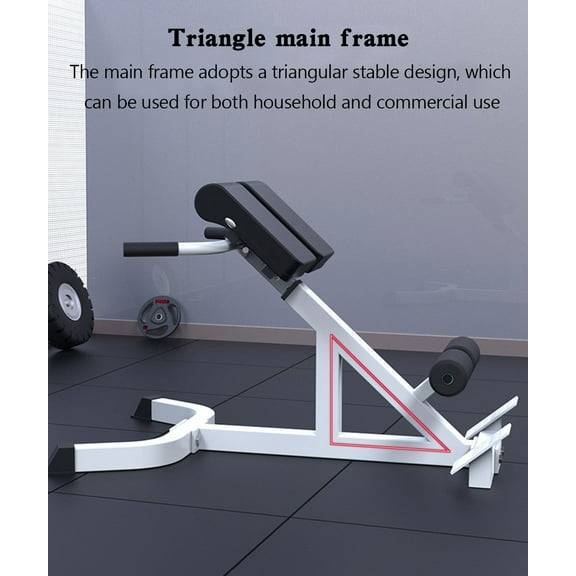 Adjustable Roman Chair Back Extension Exercise Bench Back Training Supine Board