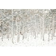 thumbnail image 2 of Lake, Shelley 32x23 White Modern Wood Framed Museum Art Print Titled - White Snow Wonderland, 2 of 4