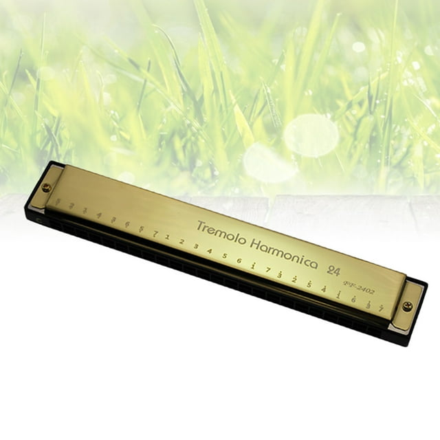 PENIKOKO 24 Holes Golden Hole Harmonica Instrument for Playing Use with Clear Tone and Streamlined Design
