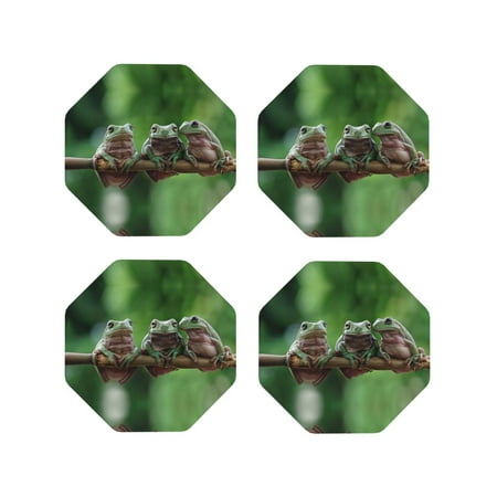 

Coasters Set of 4 - Australian White Tree Frog Branch Drink Coasters for Tabletop Protection Leather Coasters for Living Room Decor and Housewarming Gift Octagon