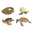 thumbnail image 1 of Juguetes de tortuga de ciclo de vida CUTICAT Conjunto tortuga marina, 1 of 8