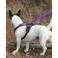 thumbnail image 3 of ORUYROP Double-Sided Reflective Dog Leash, 6 FT/5 FT/4 FT, Padded Handle Nylon Dogs Leashes for Medium & Large Dogs Walking, Purple, 6FT, 3 of 7
