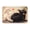 Bathroom Rug N04, variant on Faux Lambswool Bathroom Rug Mat 24"x16", Funny Cats Playing Poker Vintage Oil Painting, Soft Absorbent Non Slip Floor Mat for Bathroom Bedroom Cat Lover Home Decor