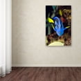 thumbnail image 3 of Trademark Fine Art "Parrot Fish" Canvas Art by Kurt Shaffer, 3 of 3