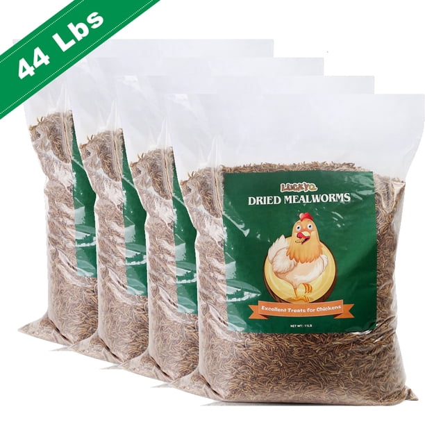 5-Pound Bulk Dried BSF Mealworms - High-Protein Treat For Wild Birds, Chickens & Fish 7 thumbnail image