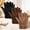 Black, Brown, Khaki, variant on 3 Pairs Microfiber Dusting Gloves for Indoor Plants, Leaf Cleaning, Furniture, Blinds, Household Dust Removal (Brown, Dark Green, Dark Red)