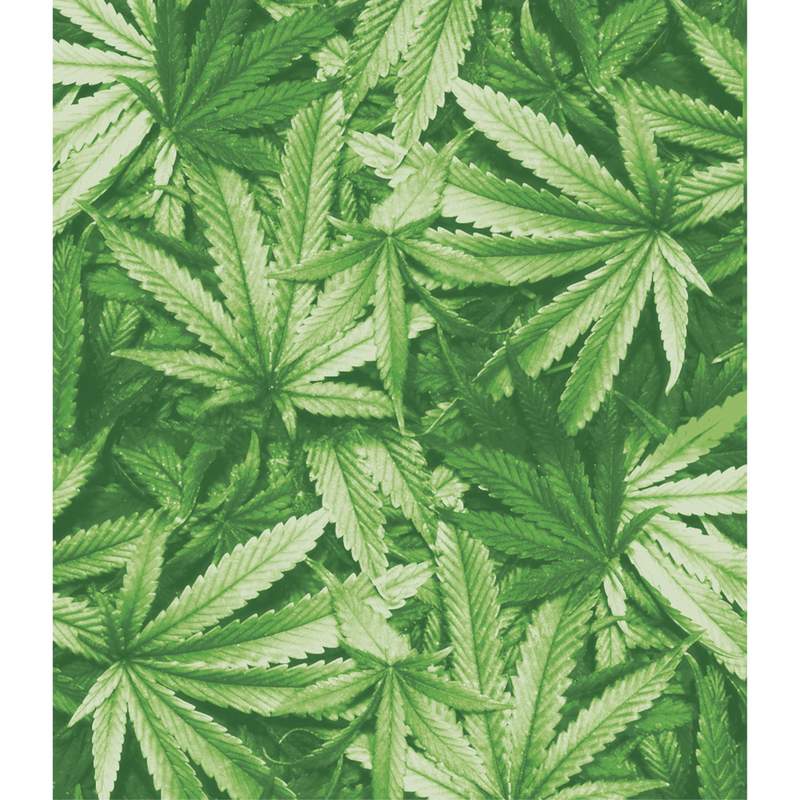 Marijuana Leaves Blanket GFBLKHIP02