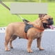 thumbnail image 3 of Un conjunto de arnés de pecho para mascotas azul S traje reflectante transpirable cadena para perro cuerda para perro Rojo Verde, 3 of 5