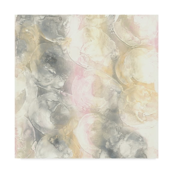 Trademark Fine Art 'Blush Circles II' Canvas Art by Chris Paschke