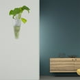 thumbnail image 4 of unbranded 4Ud Jarrones Transparentes Para Propagación De Plantas Con Para Hogar, 4 of 8