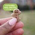 thumbnail image 5 of Buddy Biscuits Softies Soft & Chewy Dog Treats, Roasted Chicken, 6 oz. Bag, 5 of 12