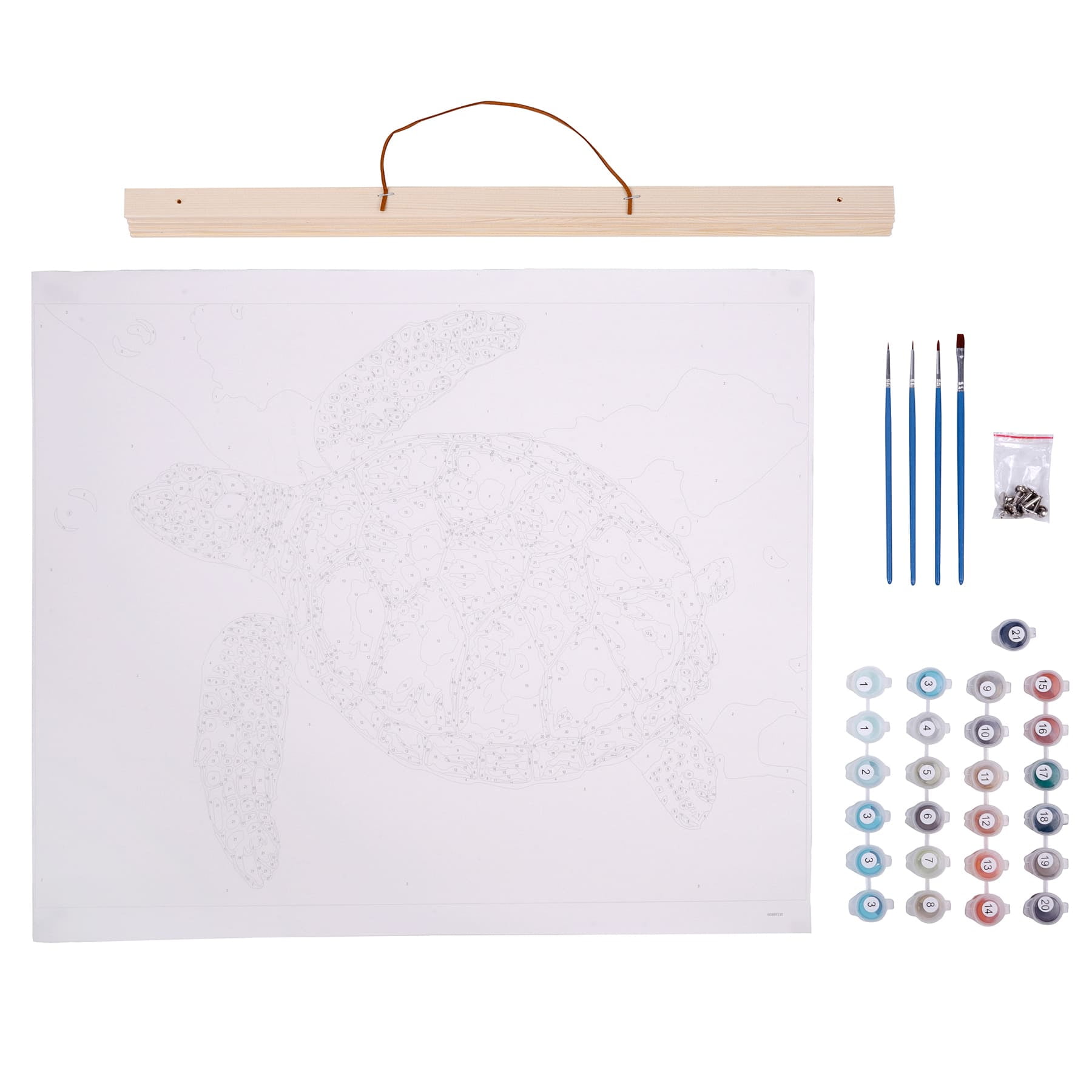 Sea Life Paint by Number Kit by Creatology™