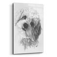 thumbnail image 2 of Epic Art 'Cavachon' by Barbara Keith, Acrylic Glass Wall Art, 12"x16", 2 of 8