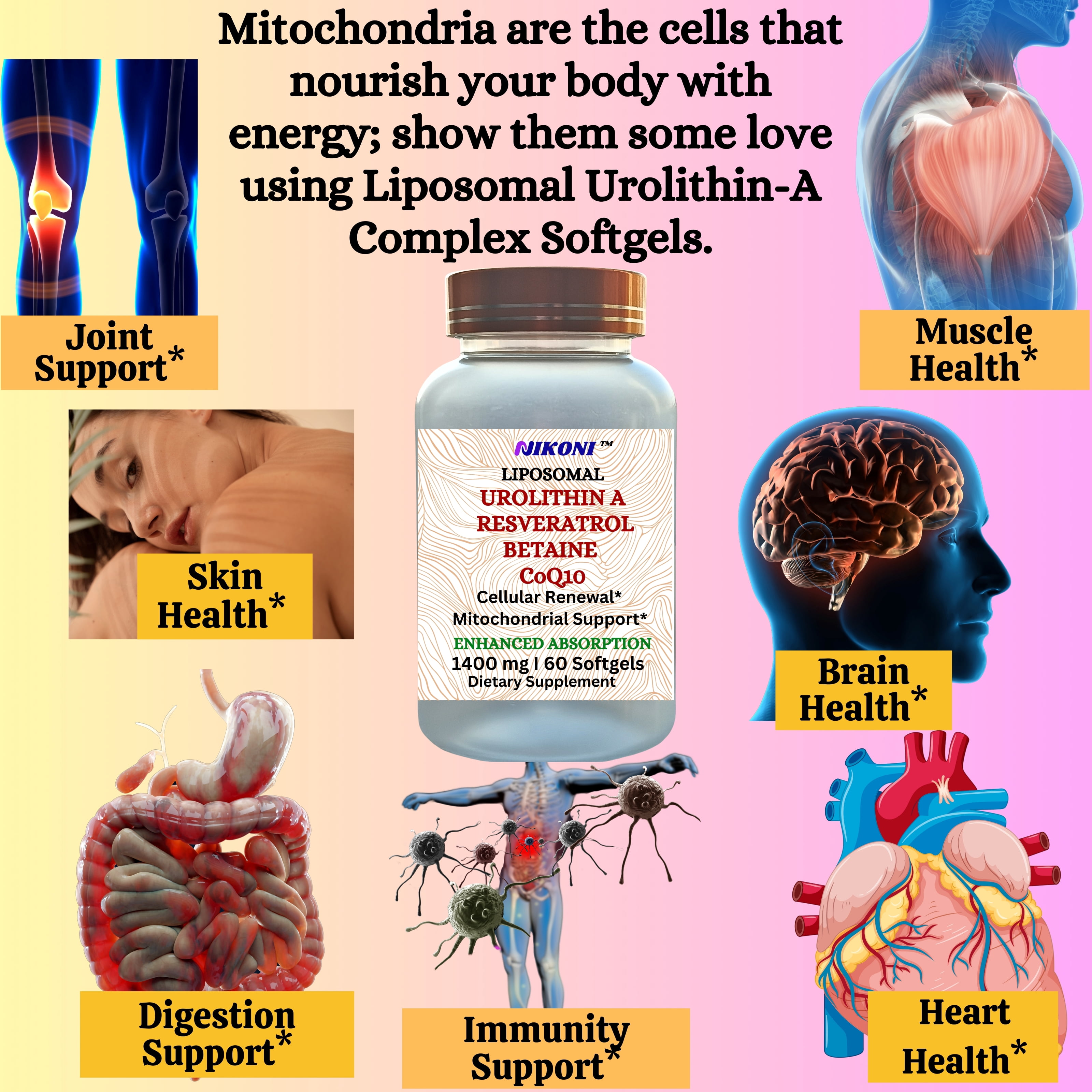 Nikoni Liposomal Urolithin-A Dietary Supplement Maximum Metabolism Healthy Aging Wellness 60 Softgels