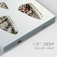 thumbnail image 3 of Cone Shell Collection III Premium Gallery Wrapped Canvas - Ready to Hang, 3 of 9