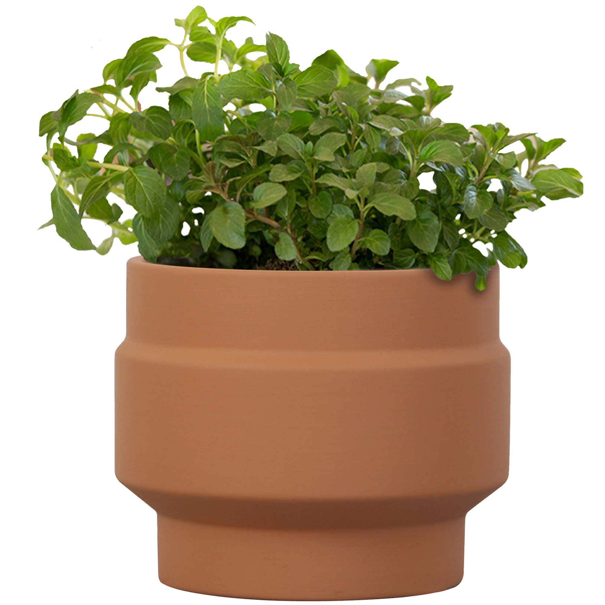Mainstays Terracotta 4in Spire Round Planter Indoor Outdoor Plant